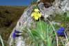 Ve�k� Fatra